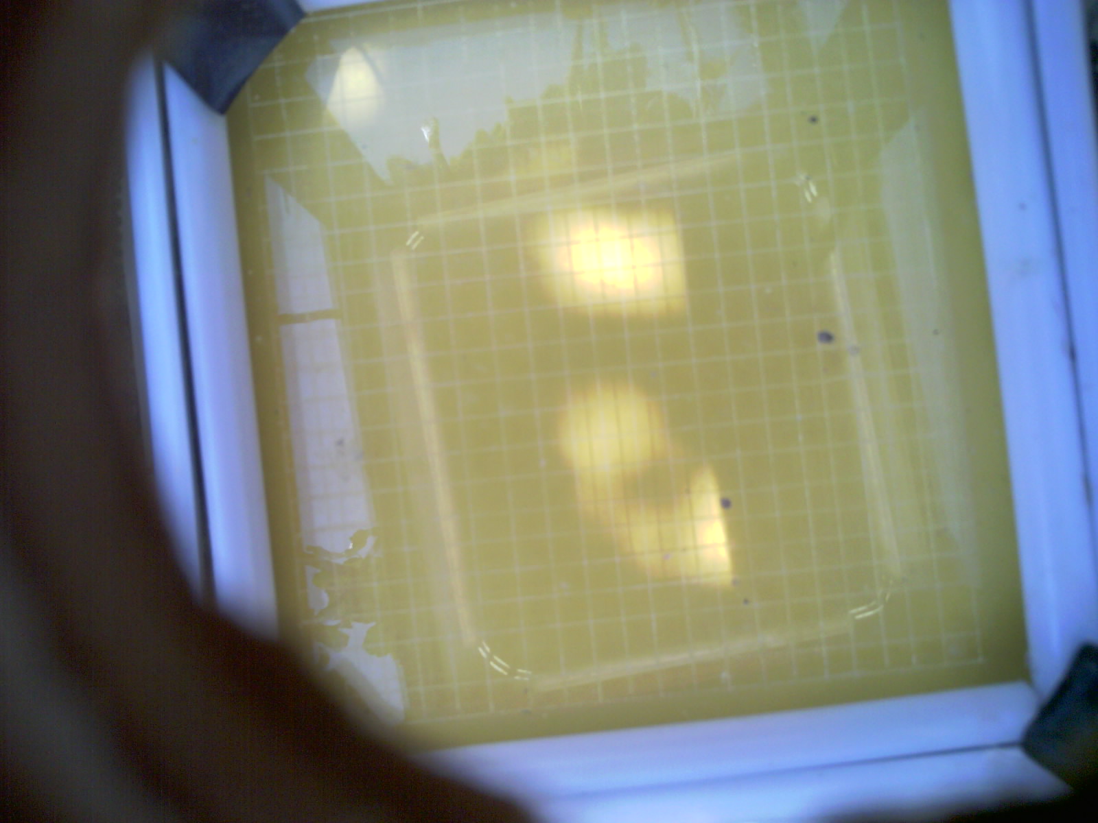 20260706_123339_UXGA_Q3.jpg