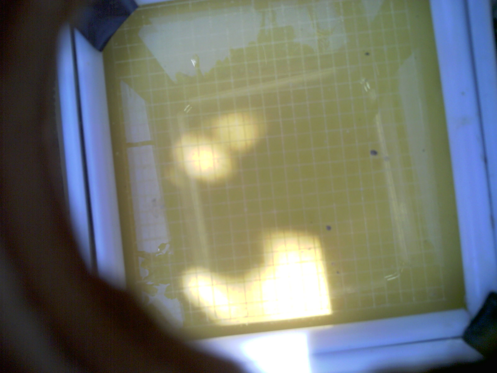 20260706_124158_UXGA_Q3.jpg