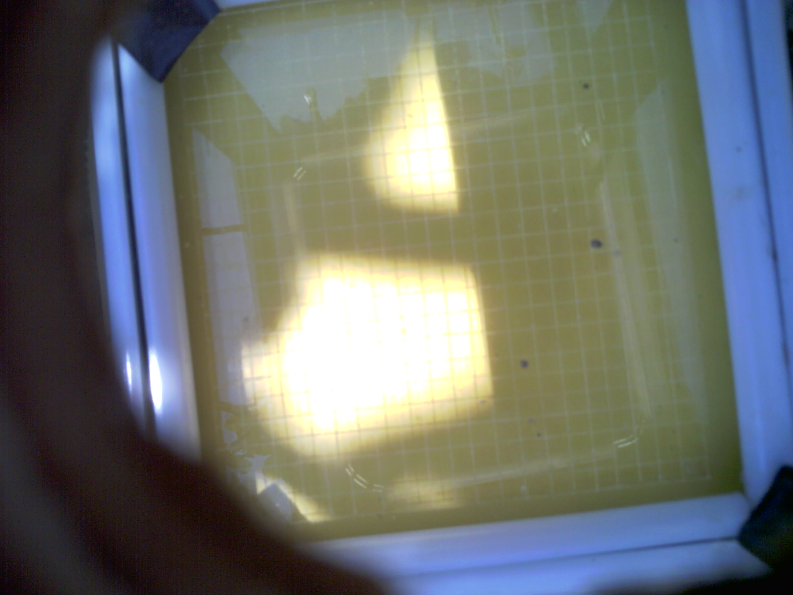 20260706_124920_UXGA_Q3.jpg