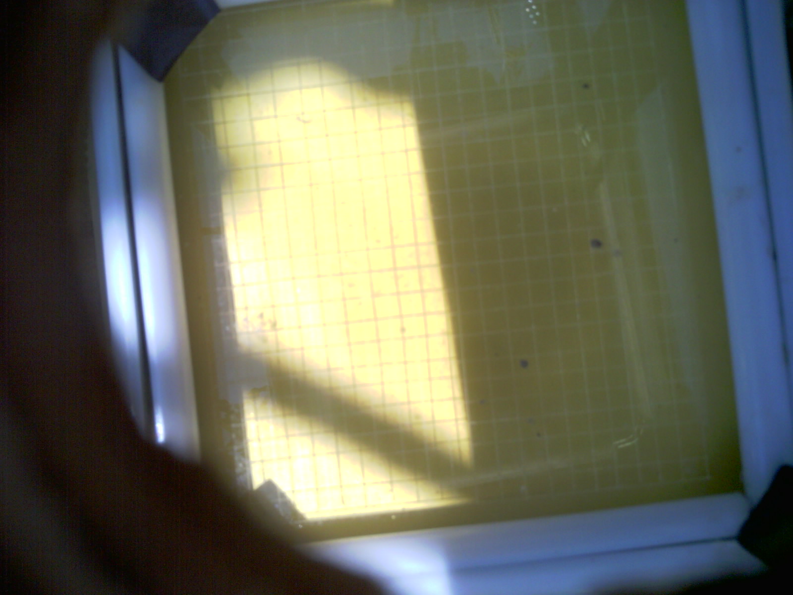 20260706_130035_UXGA_Q3.jpg