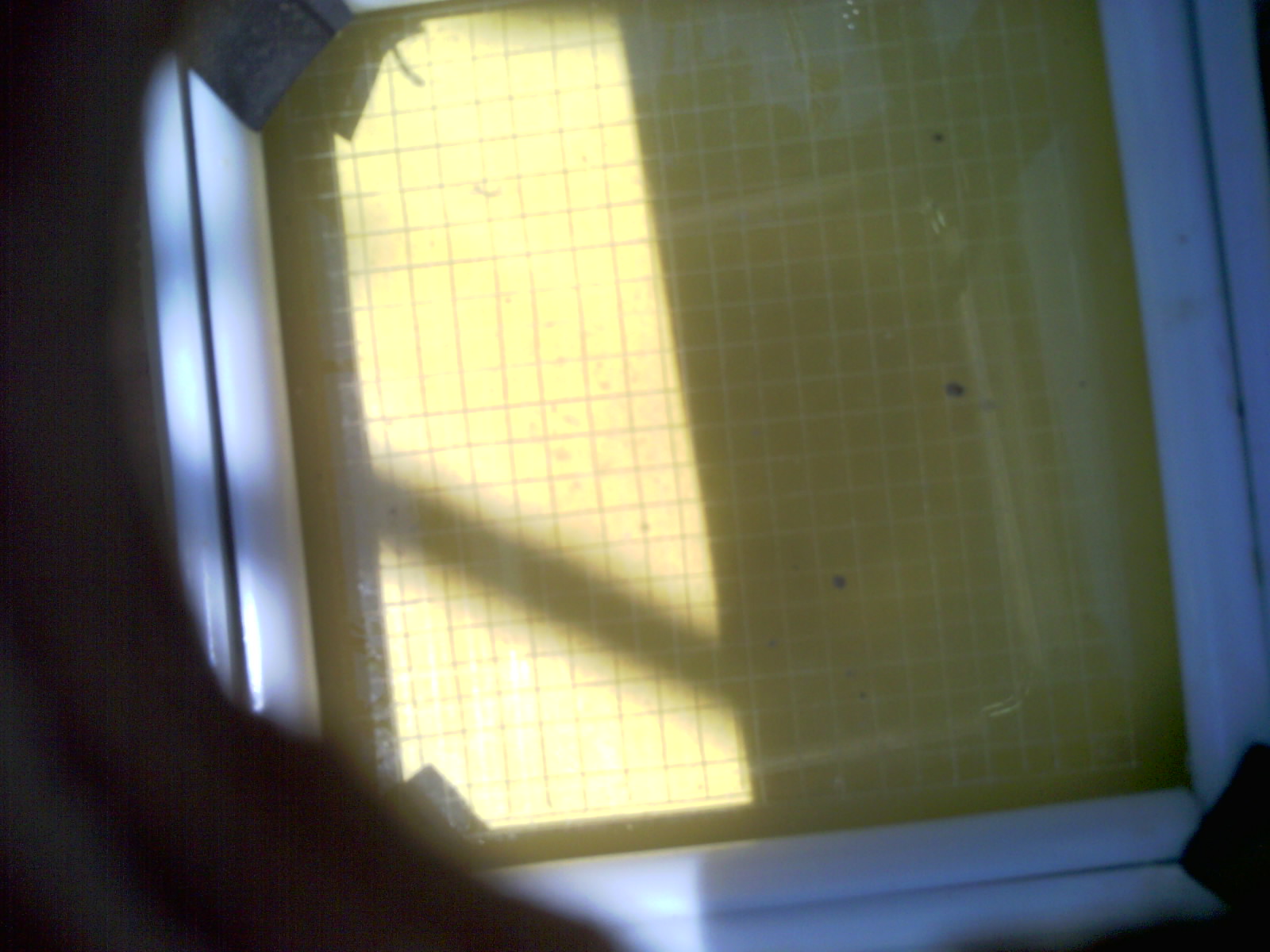 20260706_130622_UXGA_Q3.jpg