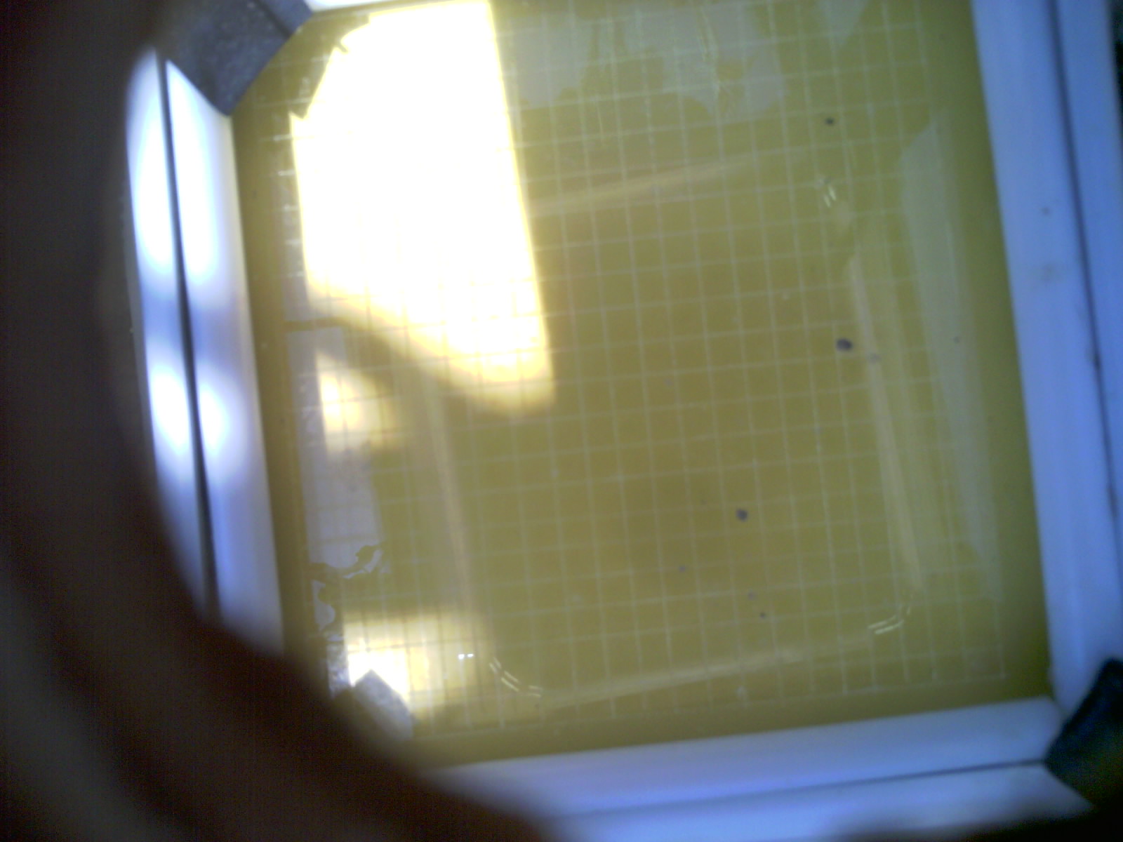 20260706_133136_UXGA_Q3.jpg