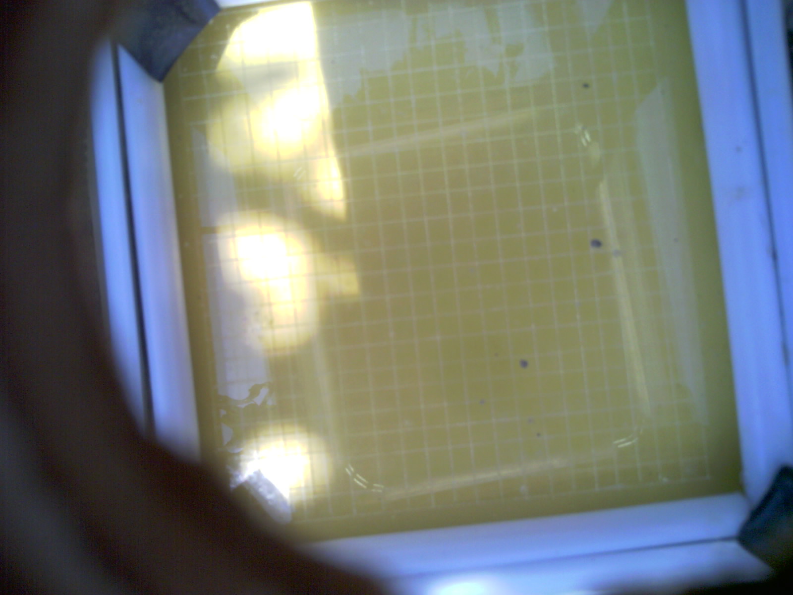 20260706_134642_UXGA_Q3.jpg