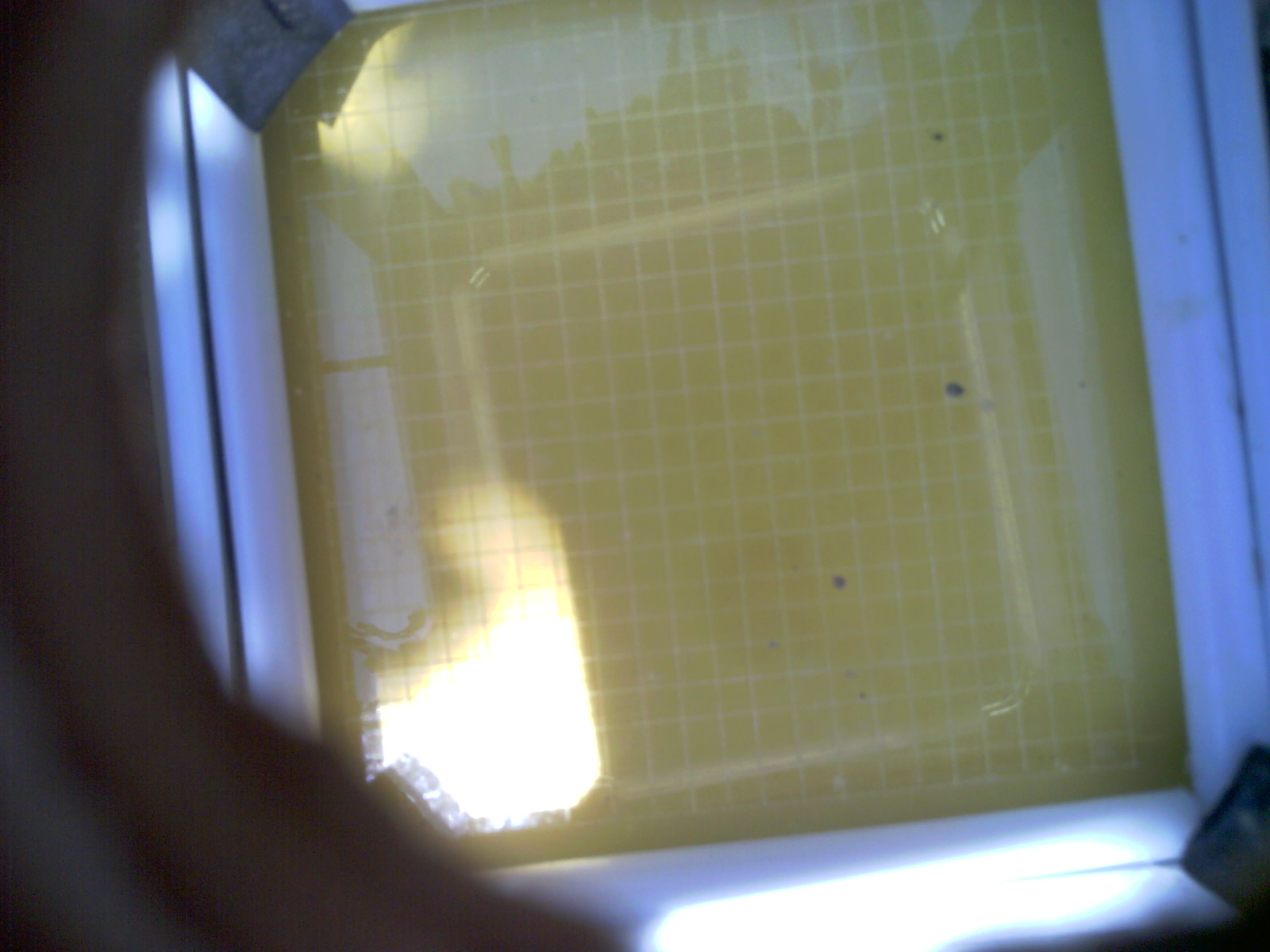 20260706_135233_UXGA_Q3.jpg