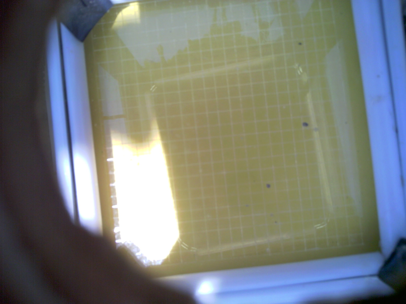 20260706_141010_UXGA_Q3.jpg