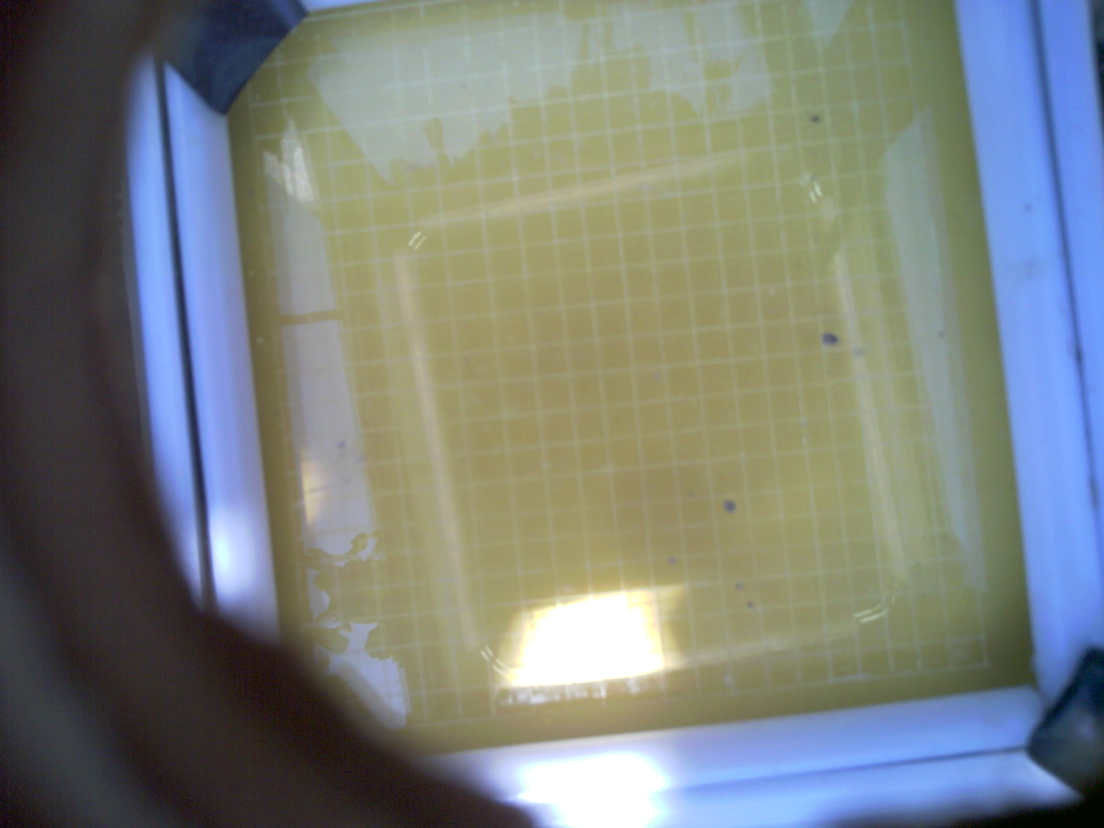 20260706_144043_UXGA_Q3.jpg