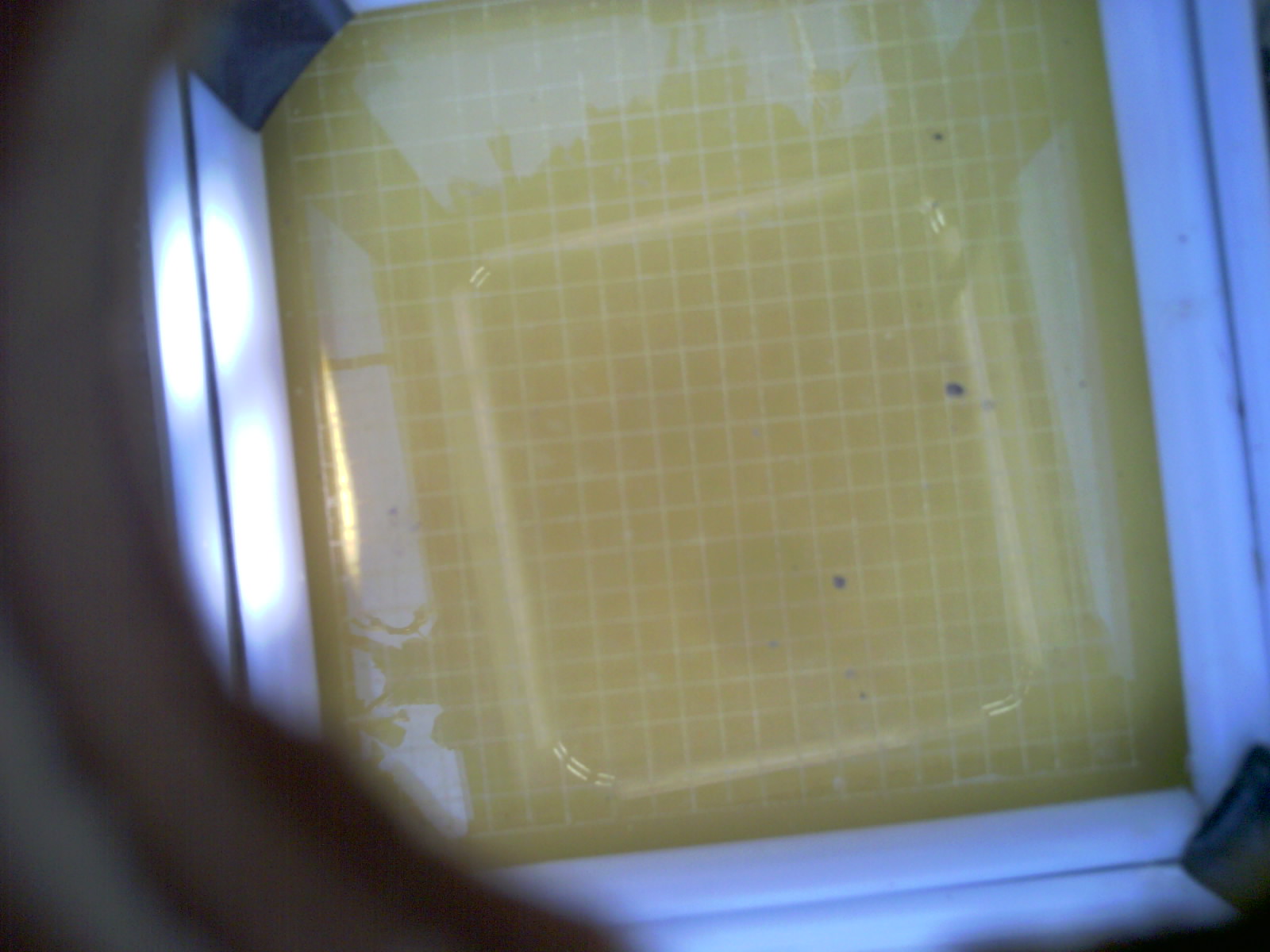 20260706_145437_UXGA_Q3.jpg