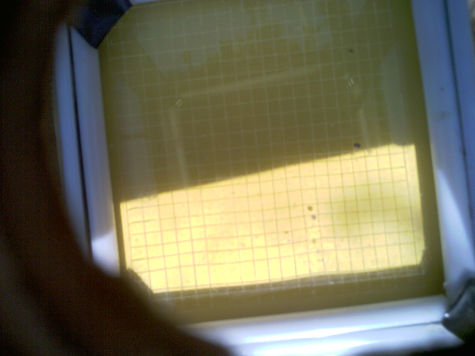 20260706_155745_UXGA_Q3.jpg
