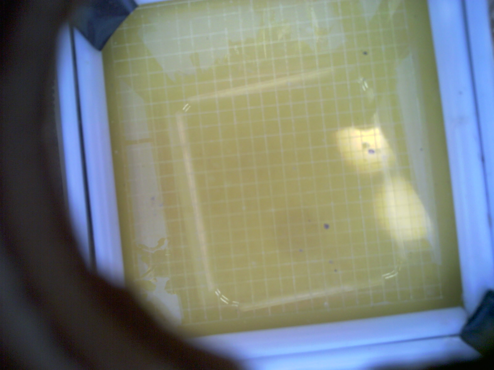 20260706_162740_UXGA_Q3.jpg