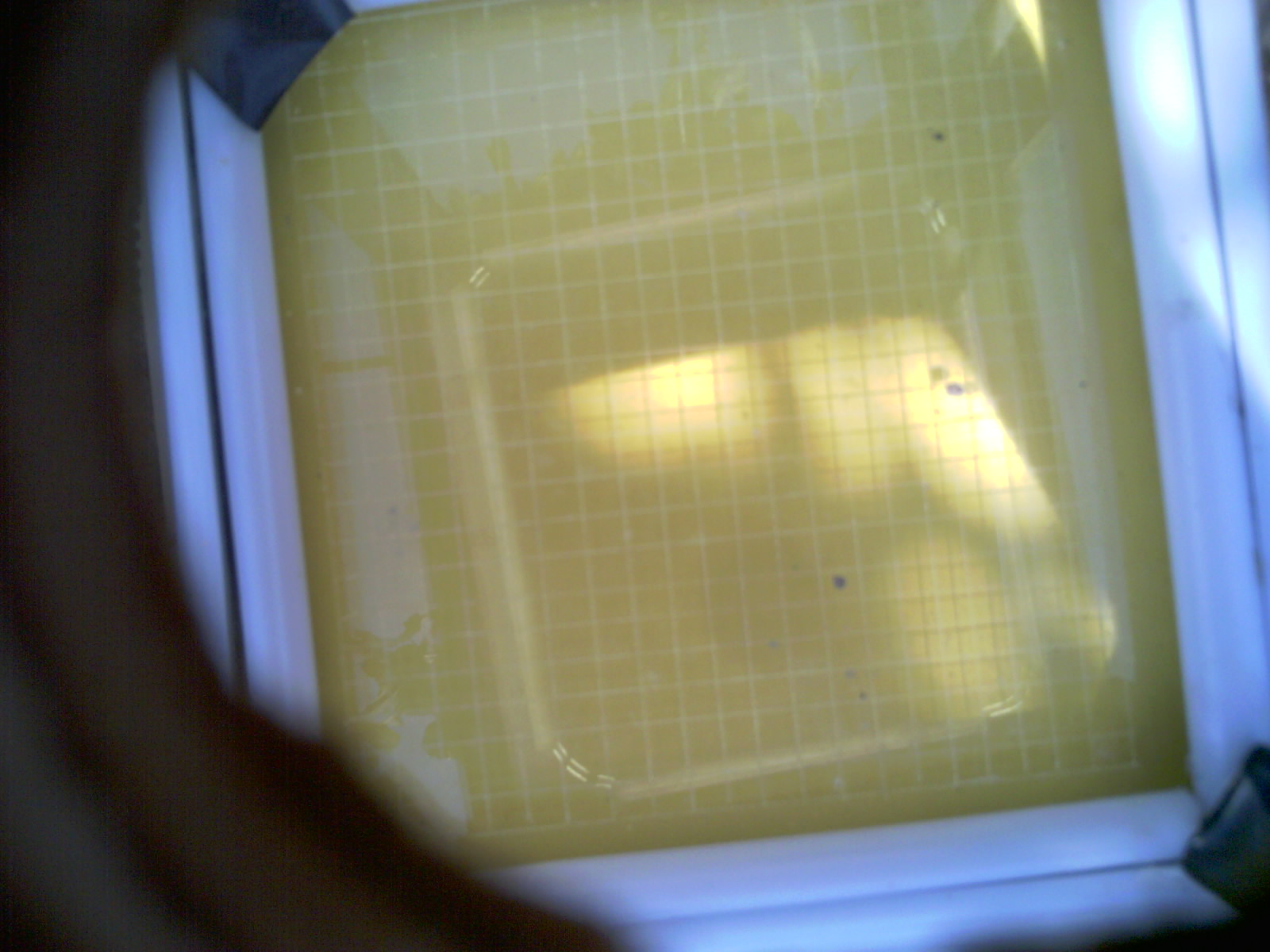 20260706_163410_UXGA_Q3.jpg