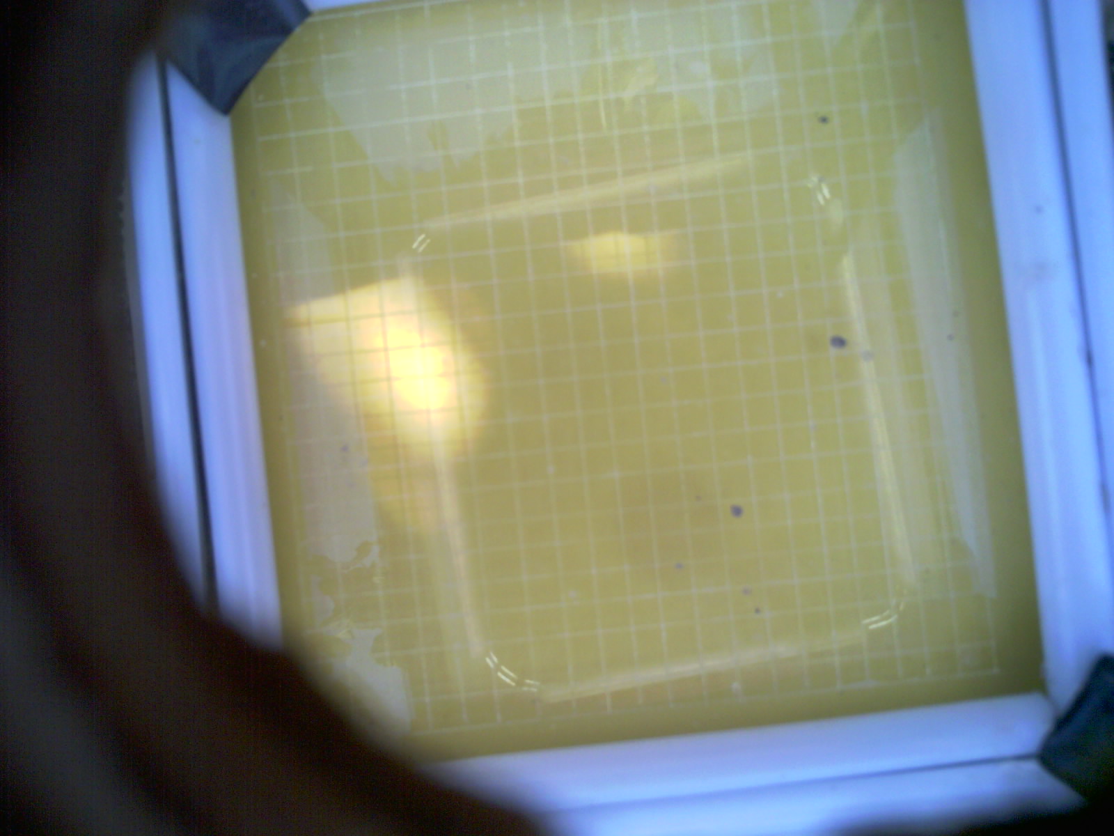 20260706_170412_UXGA_Q3.jpg