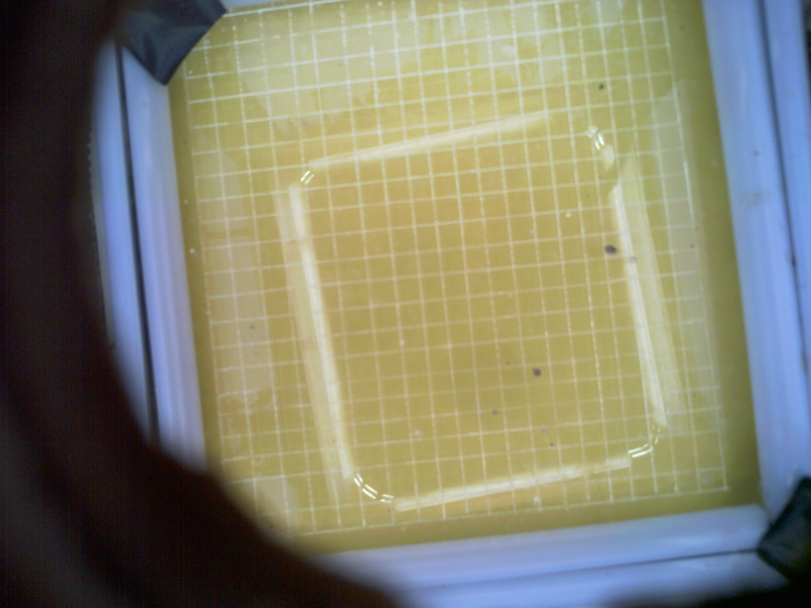 20260706_210547_UXGA_Q3.jpg