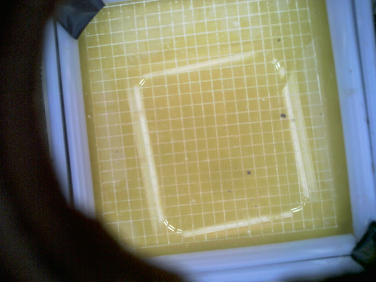 20260706_211314_UXGA_Q3.jpg