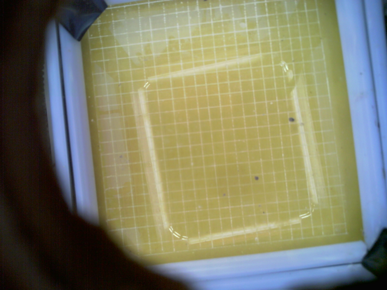 20260707_080705_UXGA_Q3.jpg