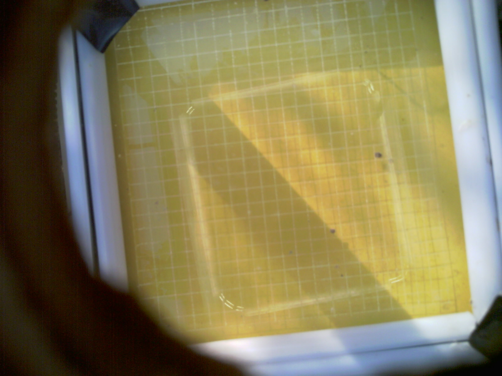 20260707_083503_UXGA_Q3.jpg