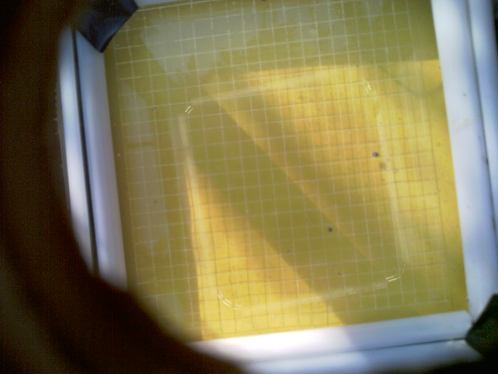 20260707_084052_UXGA_Q3.jpg