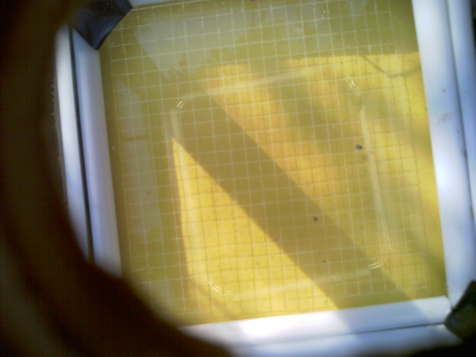 20260707_084641_UXGA_Q3.jpg