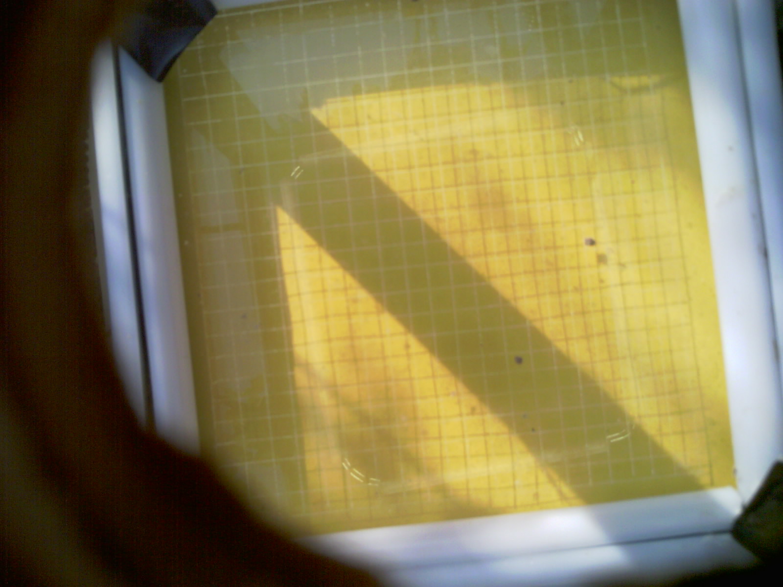 20260707_085815_UXGA_Q3.jpg