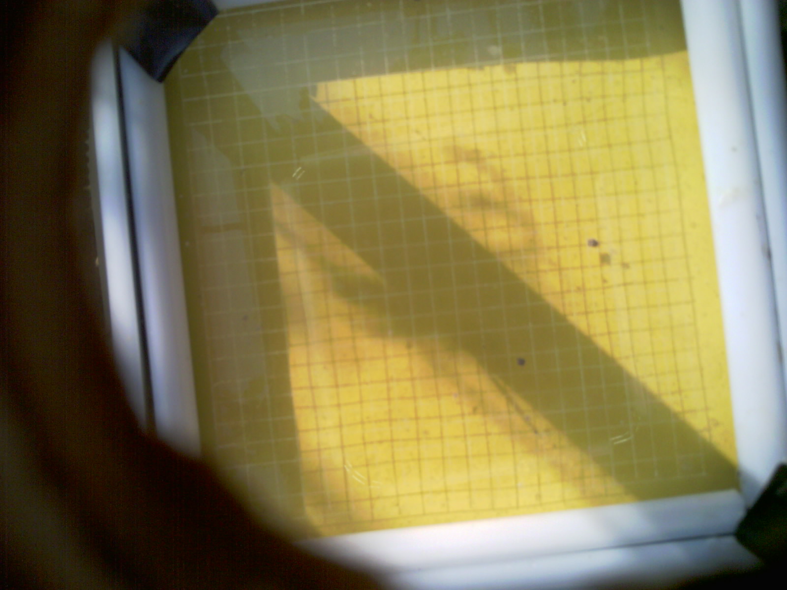 20260707_091530_UXGA_Q3.jpg