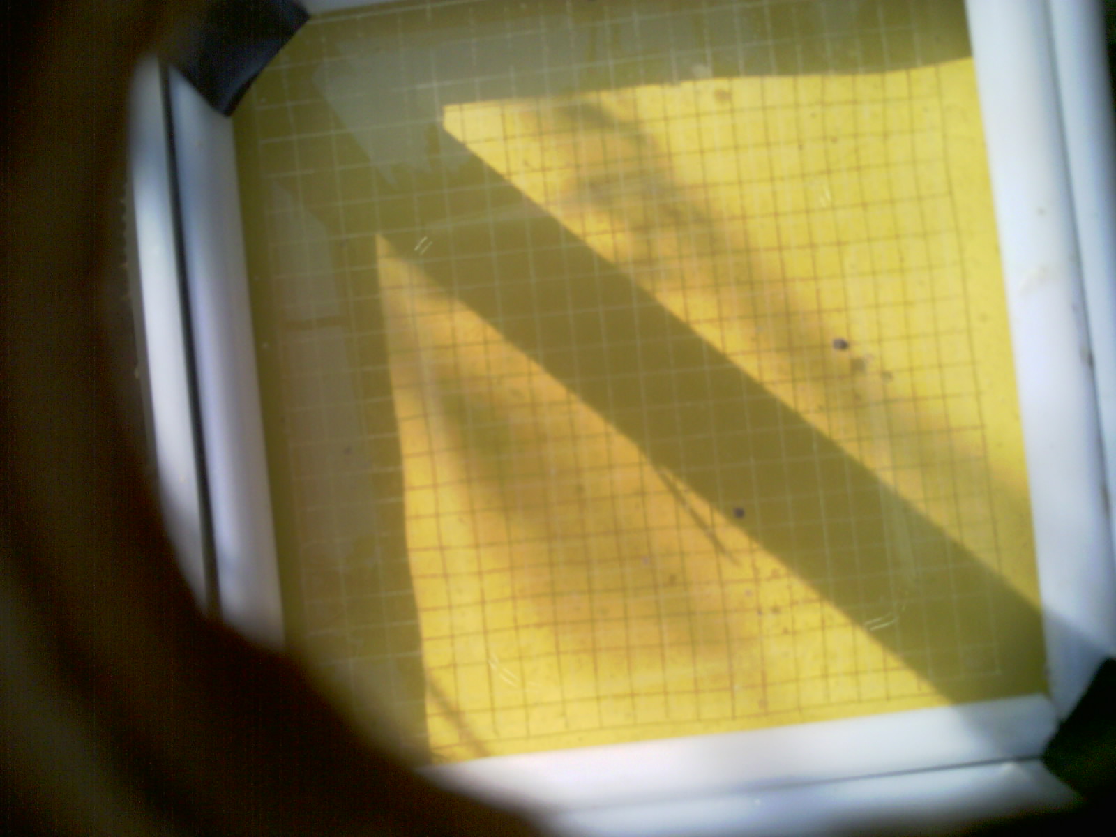 20260707_092709_UXGA_Q3.jpg