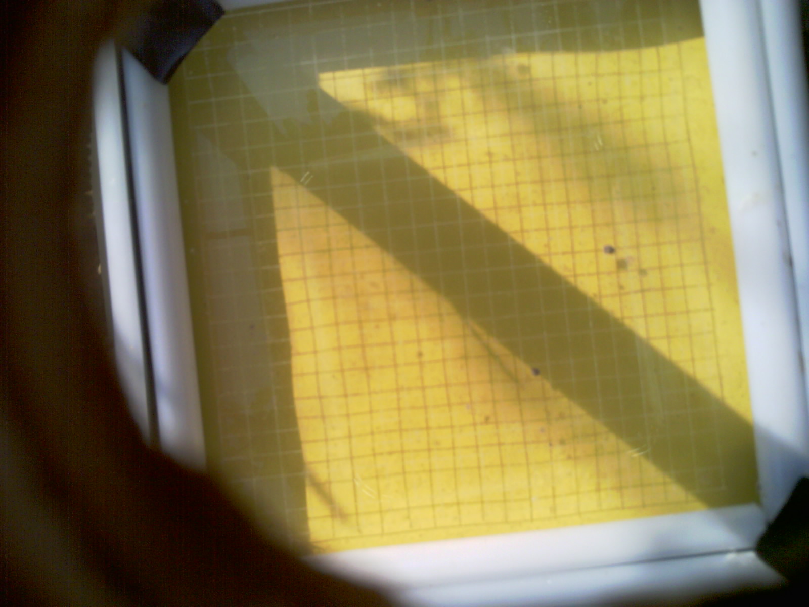 20260707_093255_UXGA_Q3.jpg