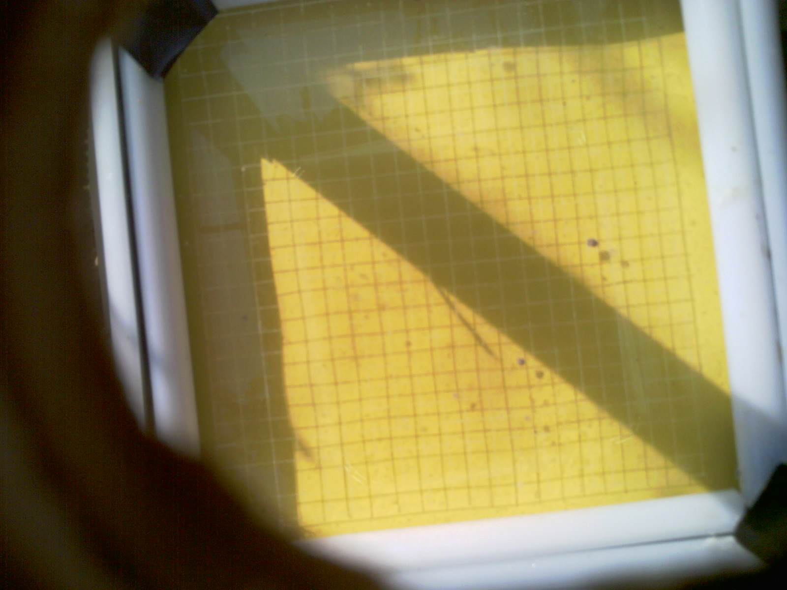 20260707_093842_UXGA_Q3.jpg