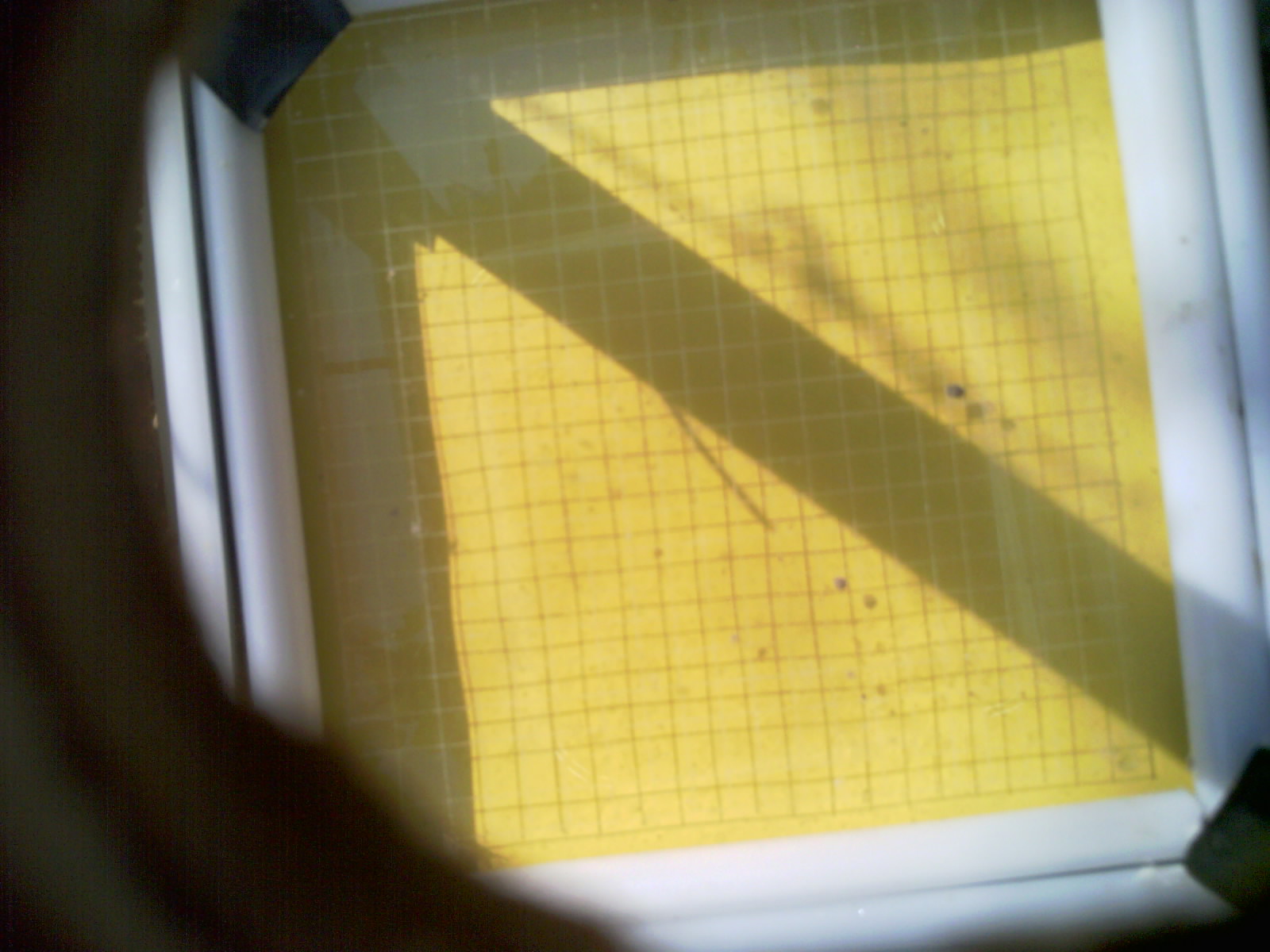 20260707_095029_UXGA_Q3.jpg