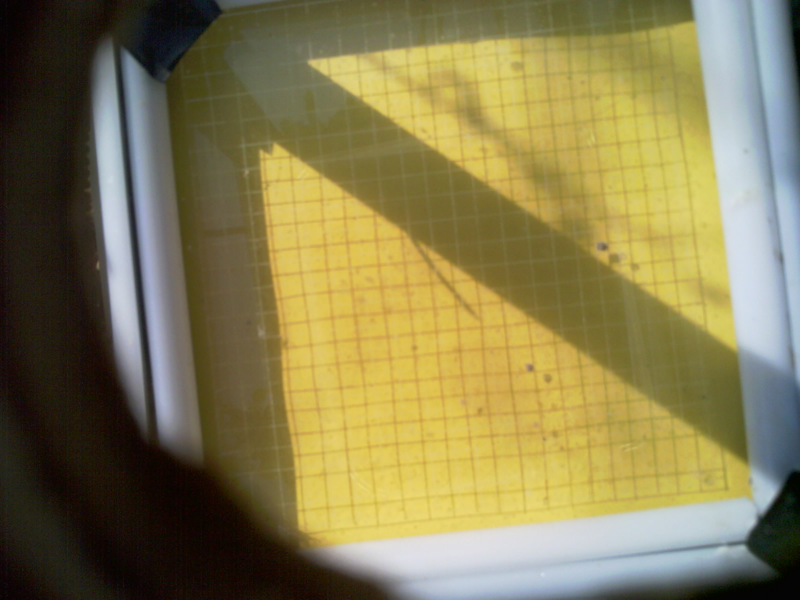 20260707_095636_UXGA_Q3.jpg