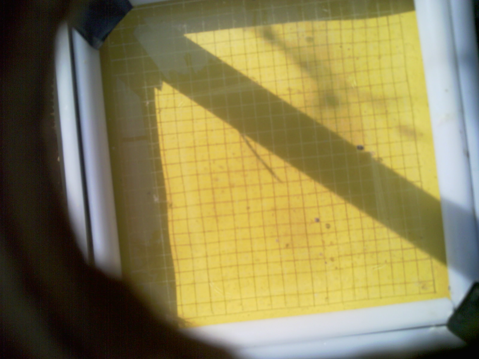 20260707_100240_UXGA_Q3.jpg