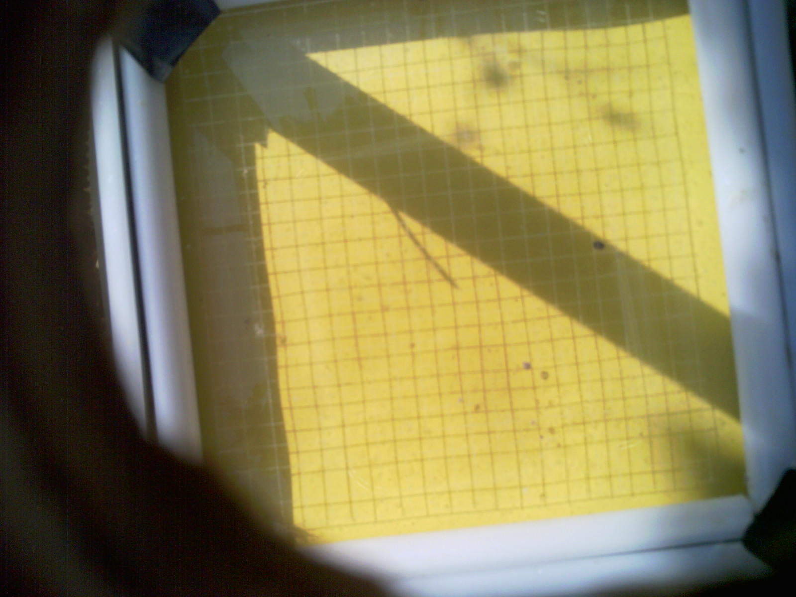 20260707_100838_UXGA_Q3.jpg
