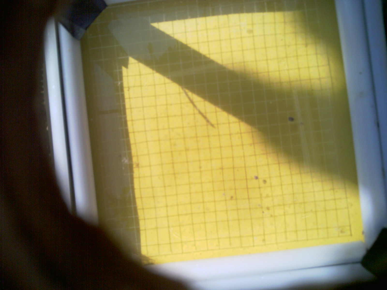 20260707_102039_UXGA_Q3.jpg