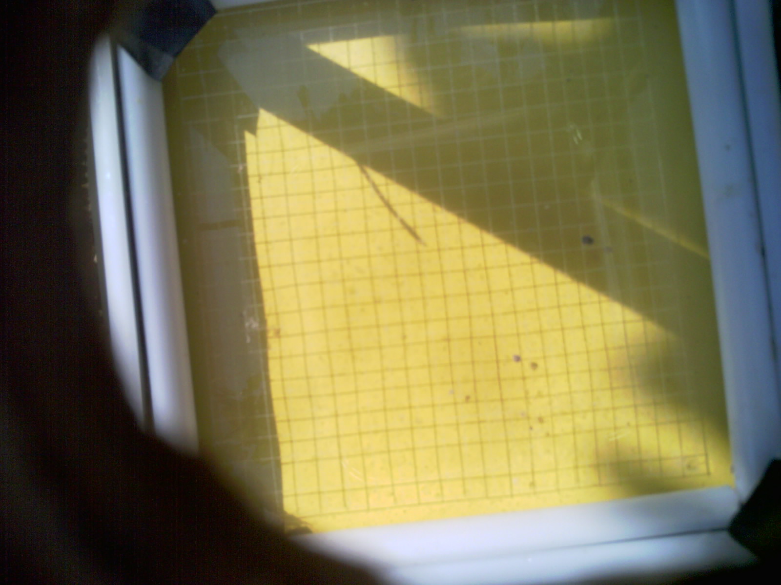 20260707_102625_UXGA_Q3.jpg