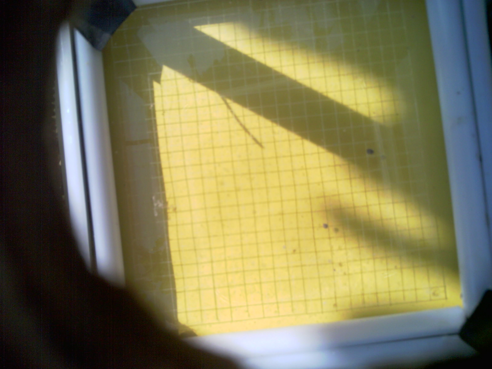 20260707_103210_UXGA_Q3.jpg