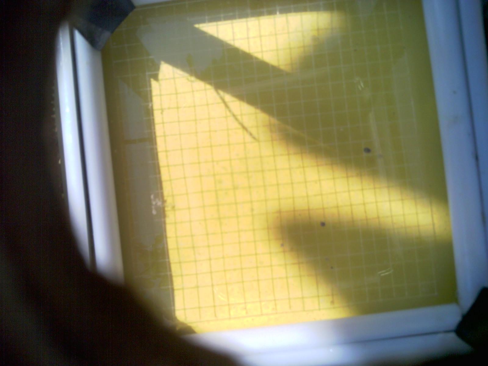 20260707_103802_UXGA_Q3.jpg