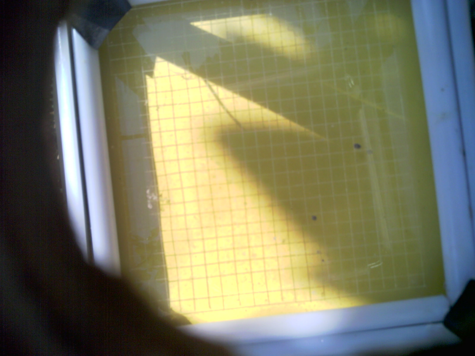 20260707_104349_UXGA_Q3.jpg
