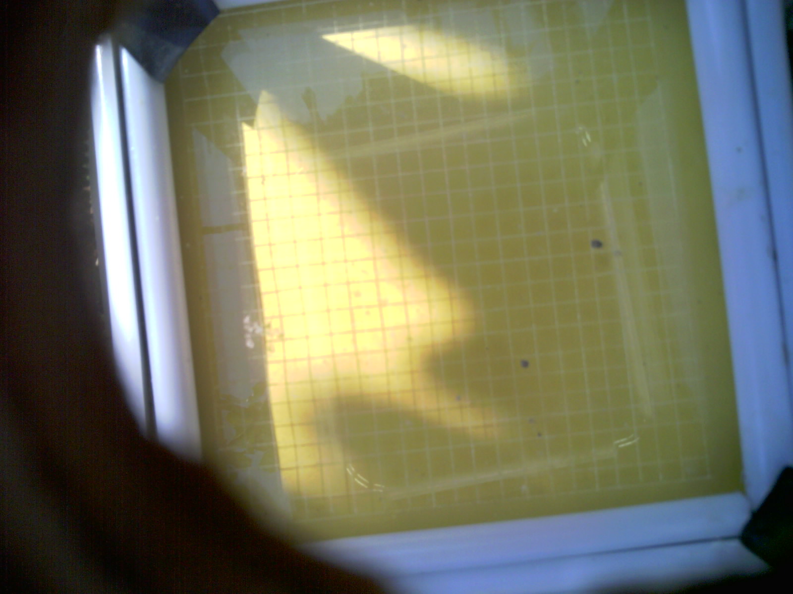 20260707_104938_UXGA_Q3.jpg