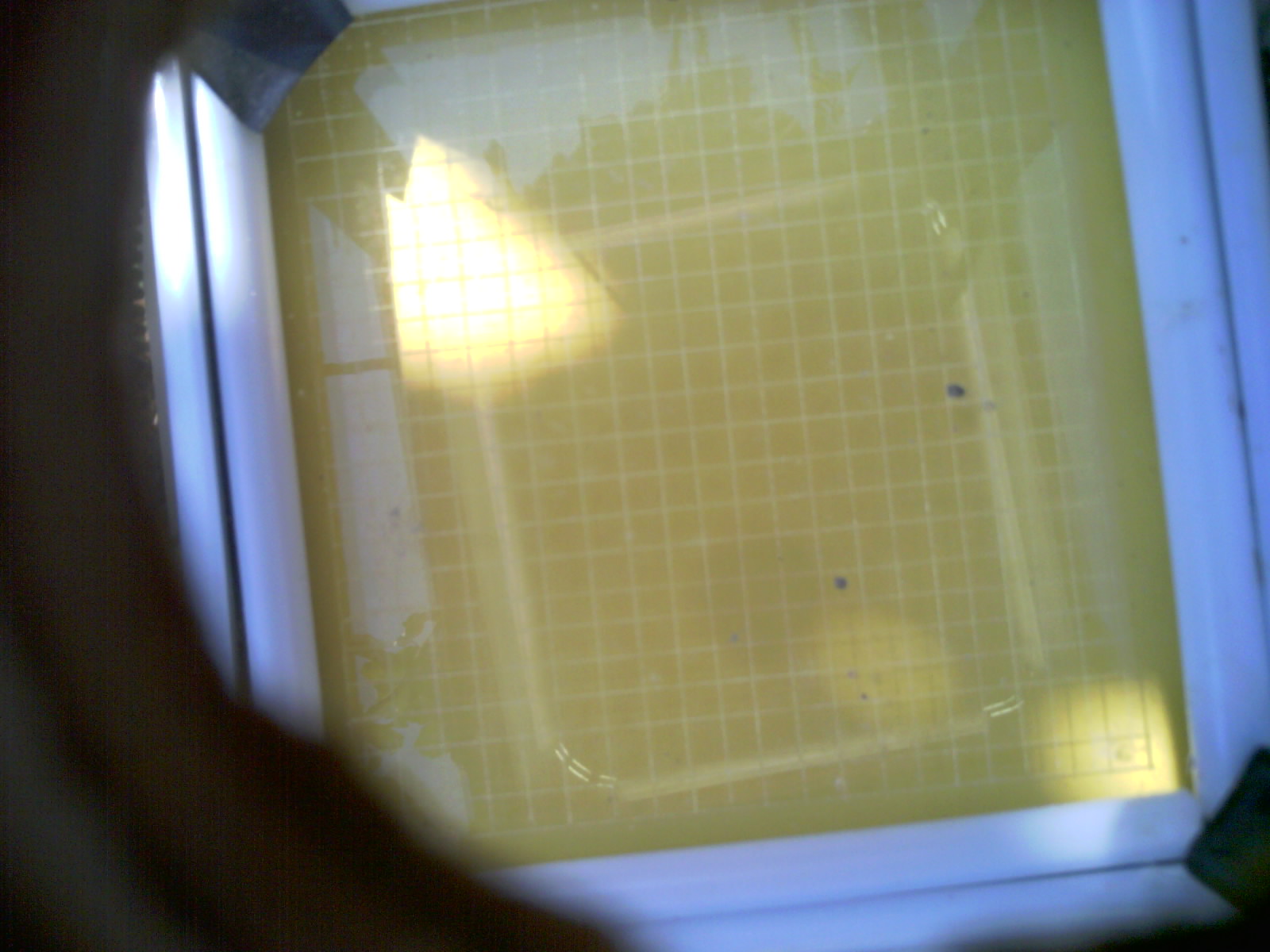 20260707_105522_UXGA_Q3.jpg