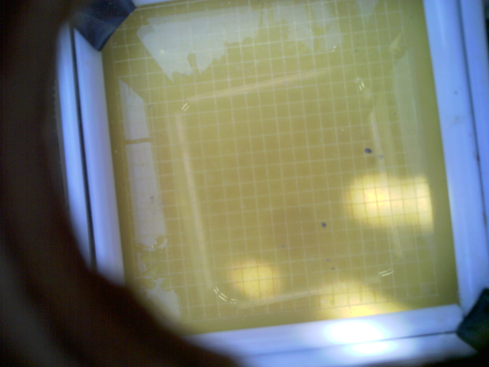 20260707_110107_UXGA_Q3.jpg