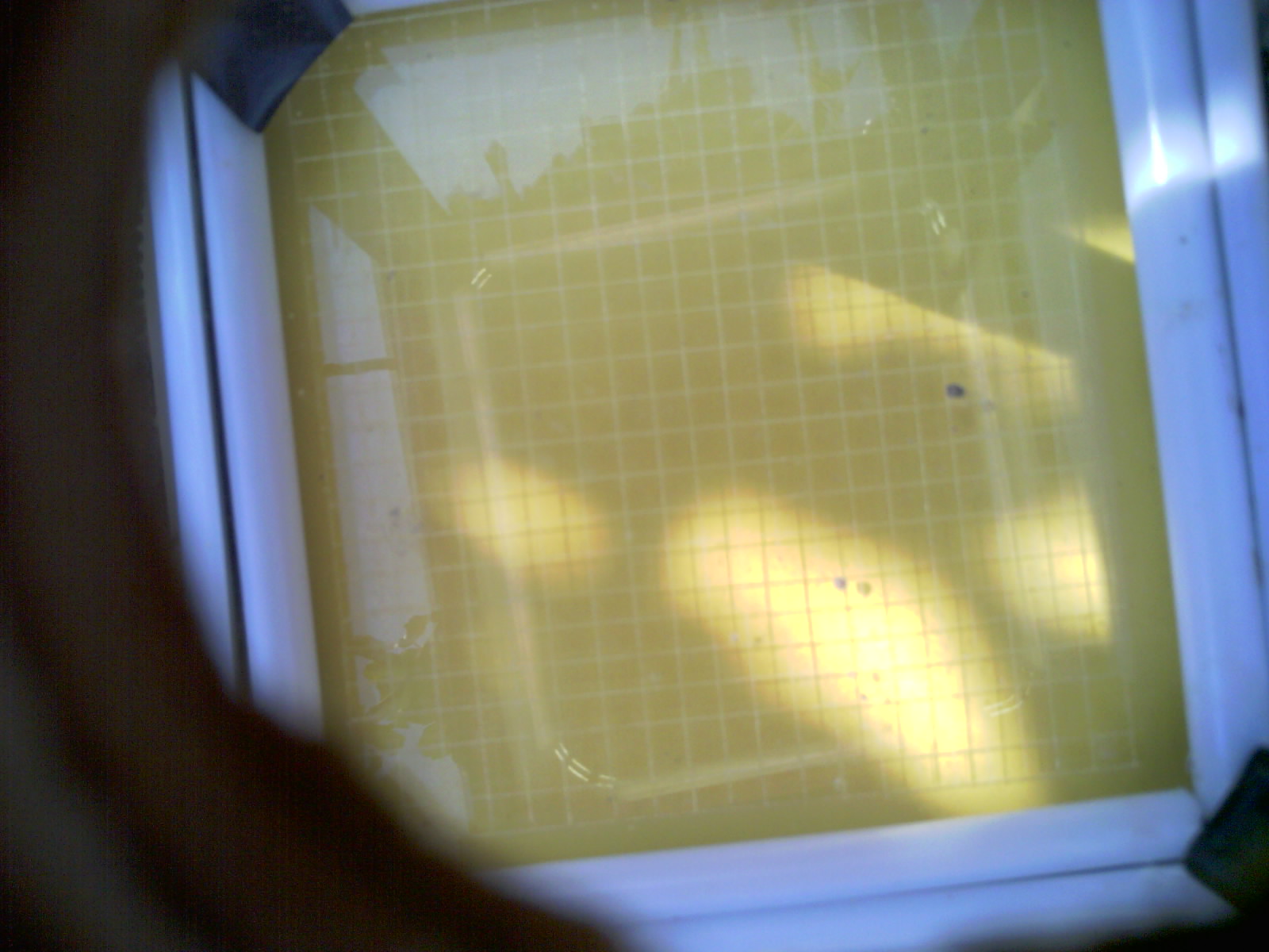 20260707_110652_UXGA_Q3.jpg