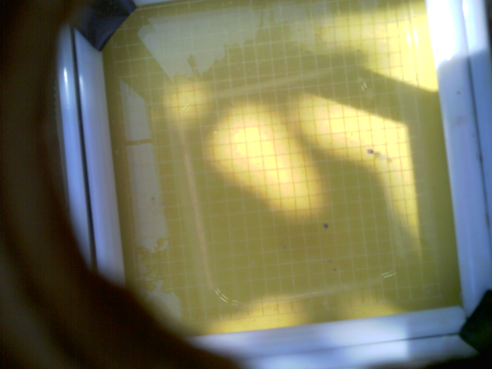 20260707_111234_UXGA_Q3.jpg