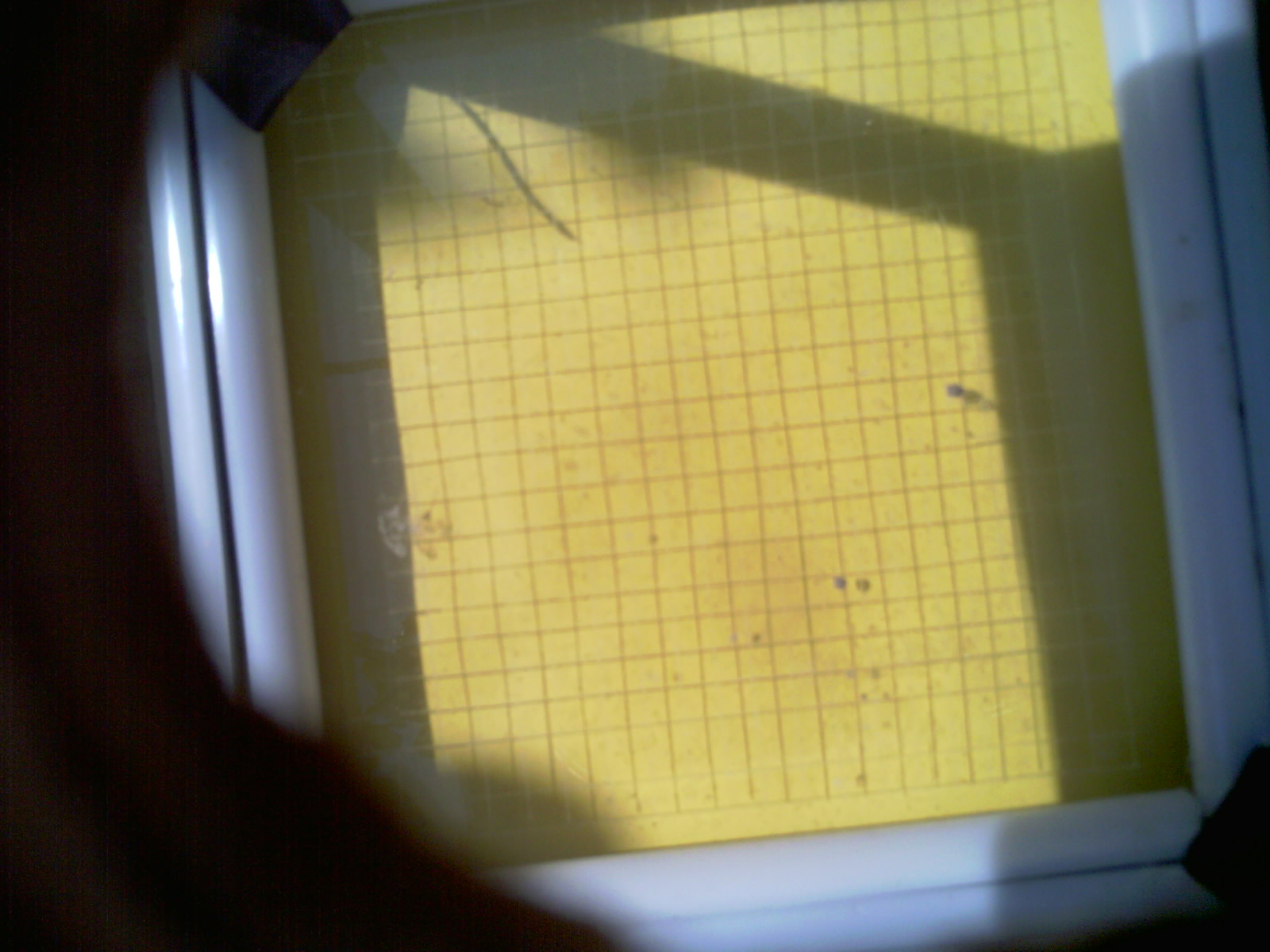 20260707_113127_UXGA_Q3.jpg