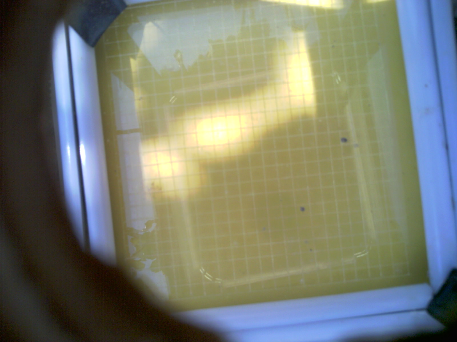 20260707_120658_UXGA_Q3.jpg