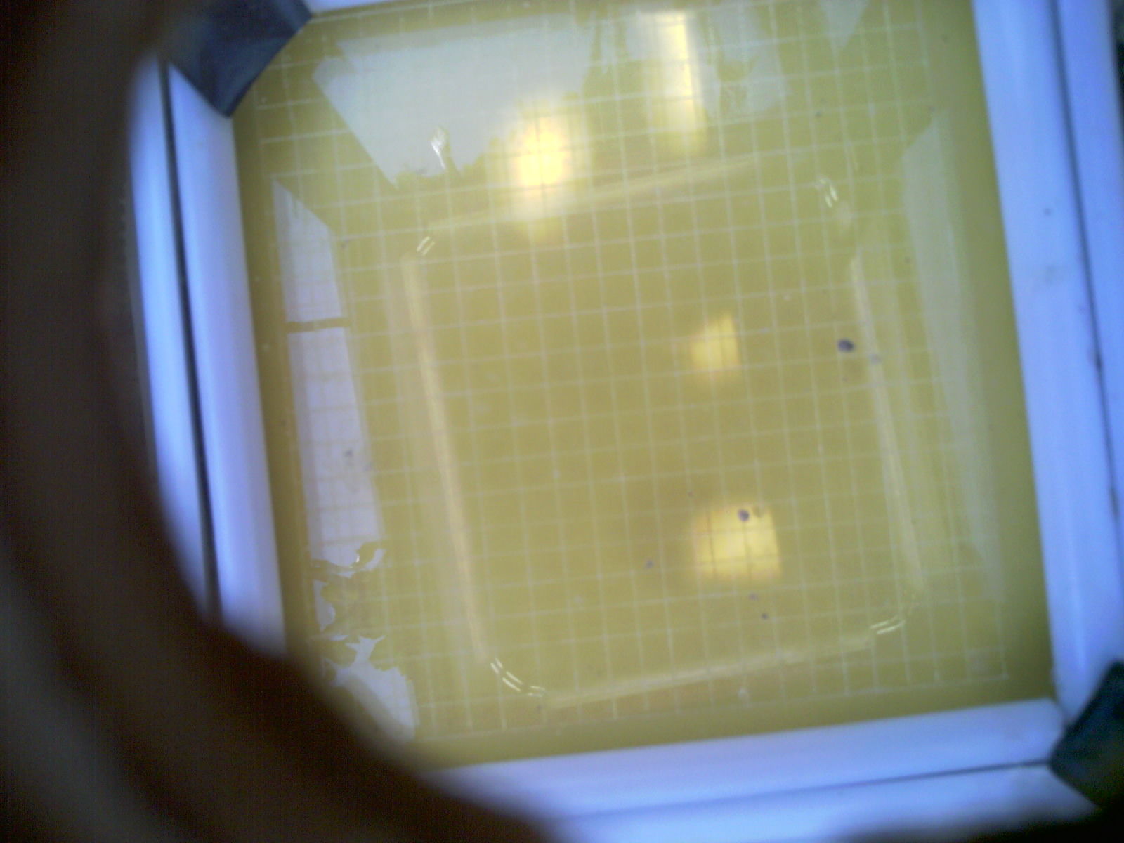 20260707_122200_UXGA_Q3.jpg