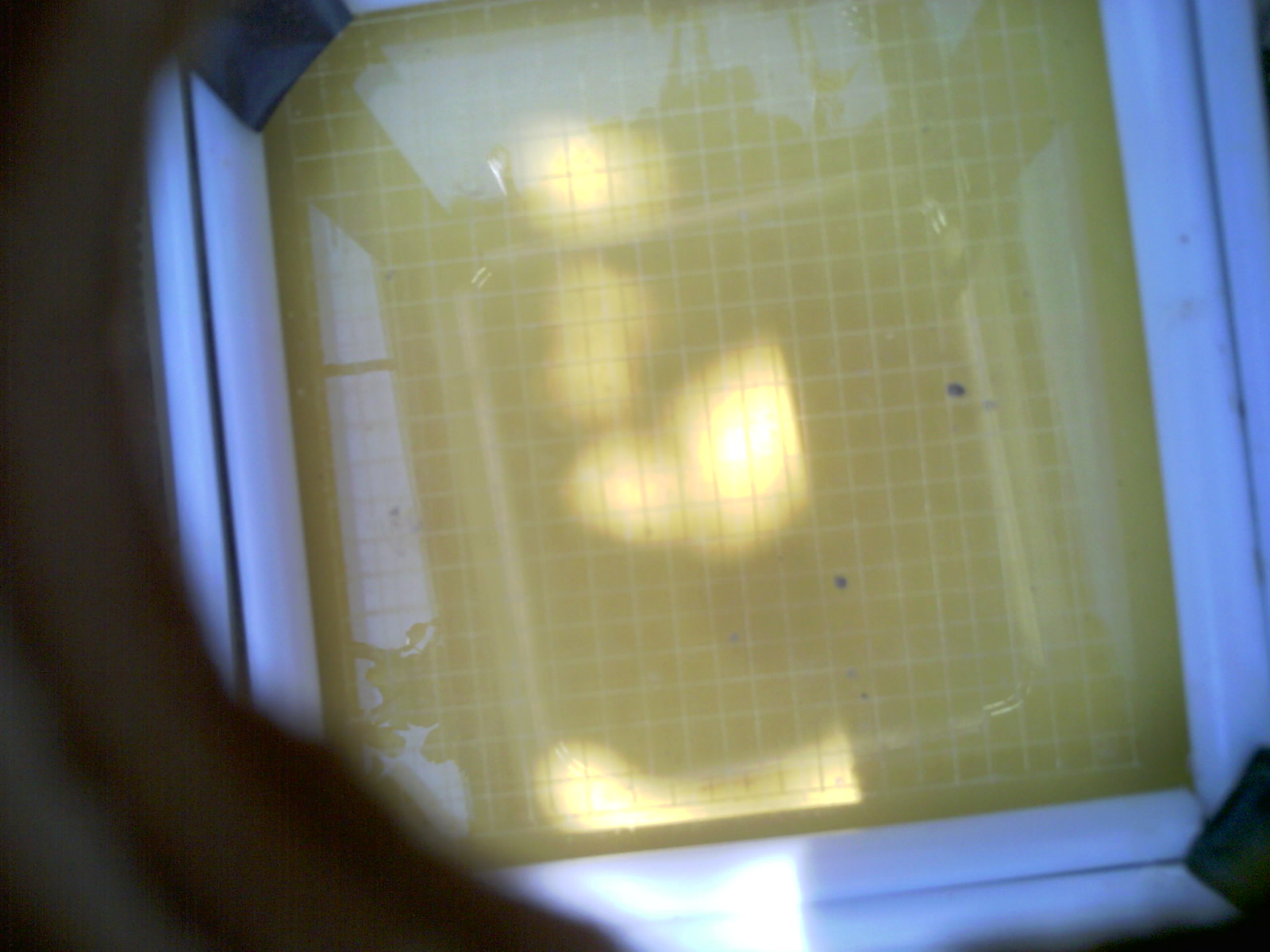 20260707_123536_UXGA_Q3.jpg
