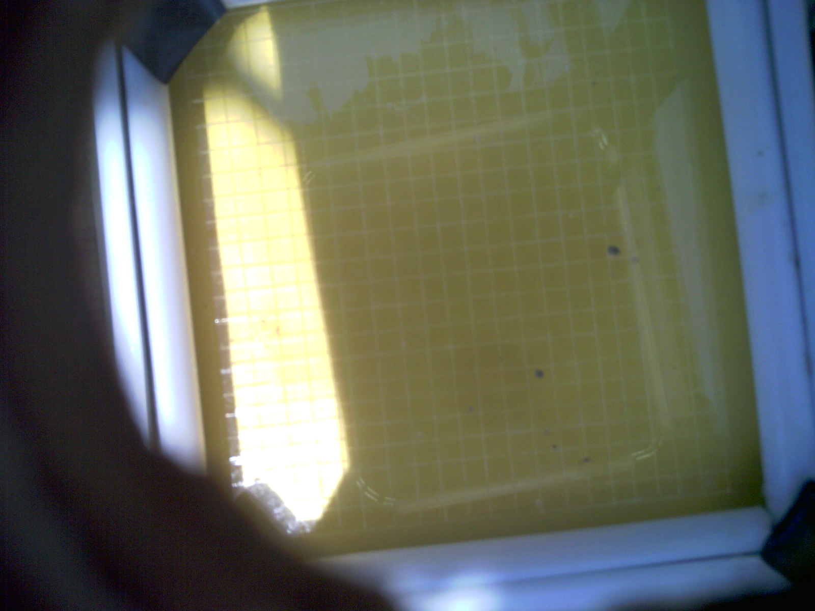 20260707_141511_UXGA_Q3.jpg