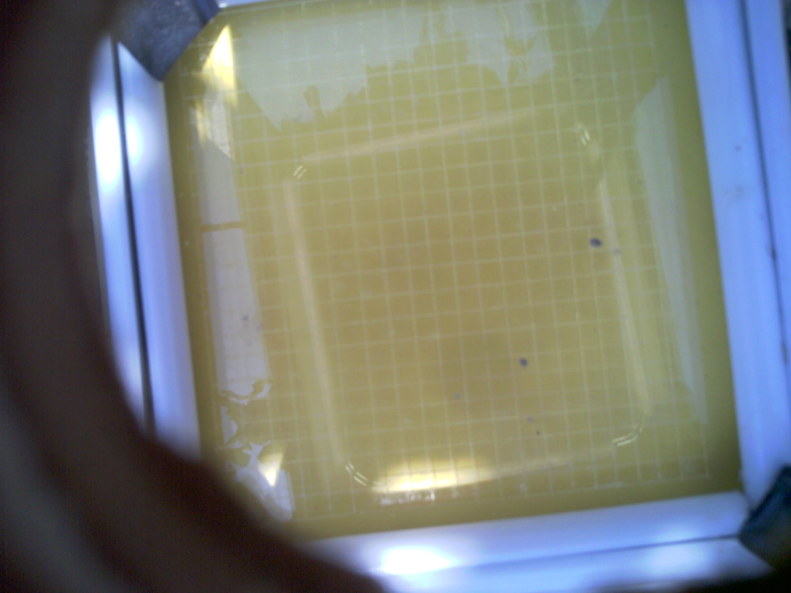 20260707_143031_UXGA_Q3.jpg