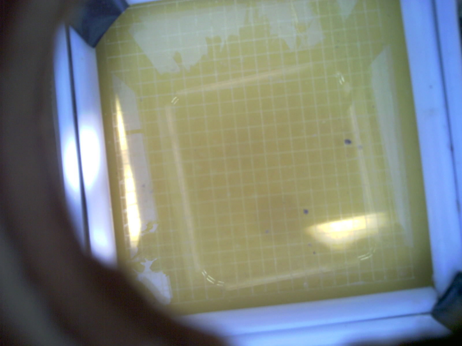 20260707_145102_UXGA_Q3.jpg