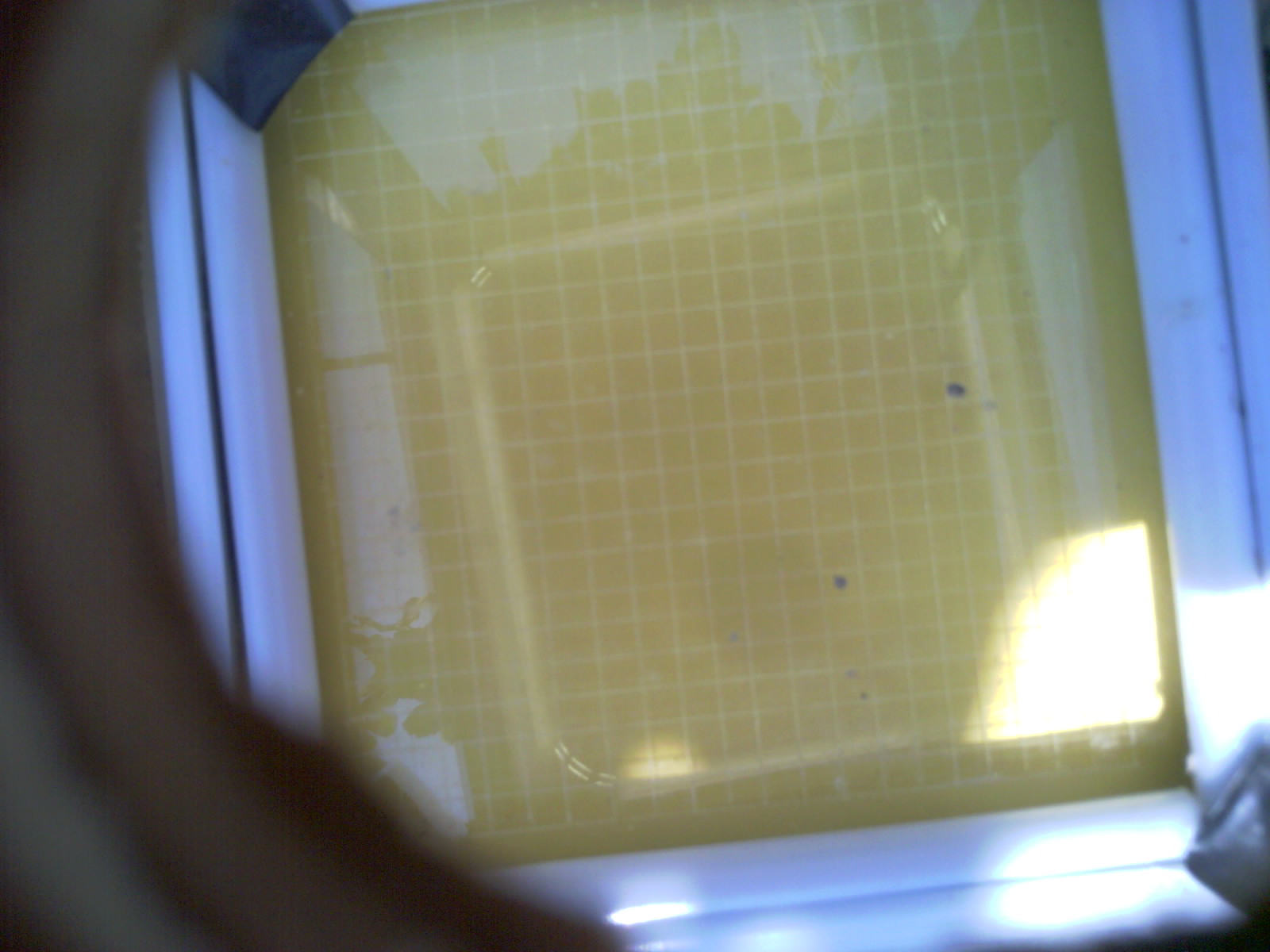 20260707_150403_UXGA_Q3.jpg
