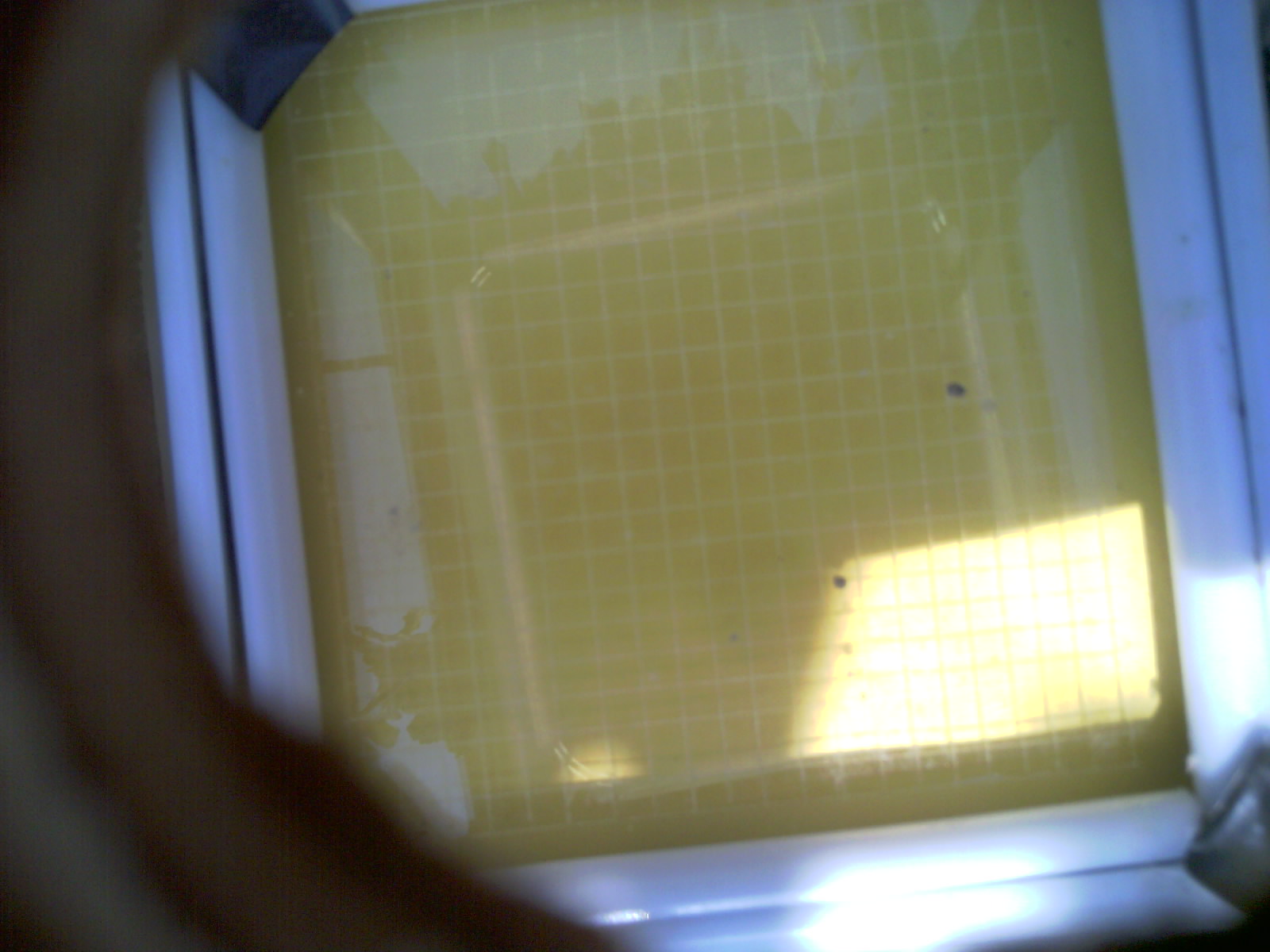 20260707_151023_UXGA_Q3.jpg