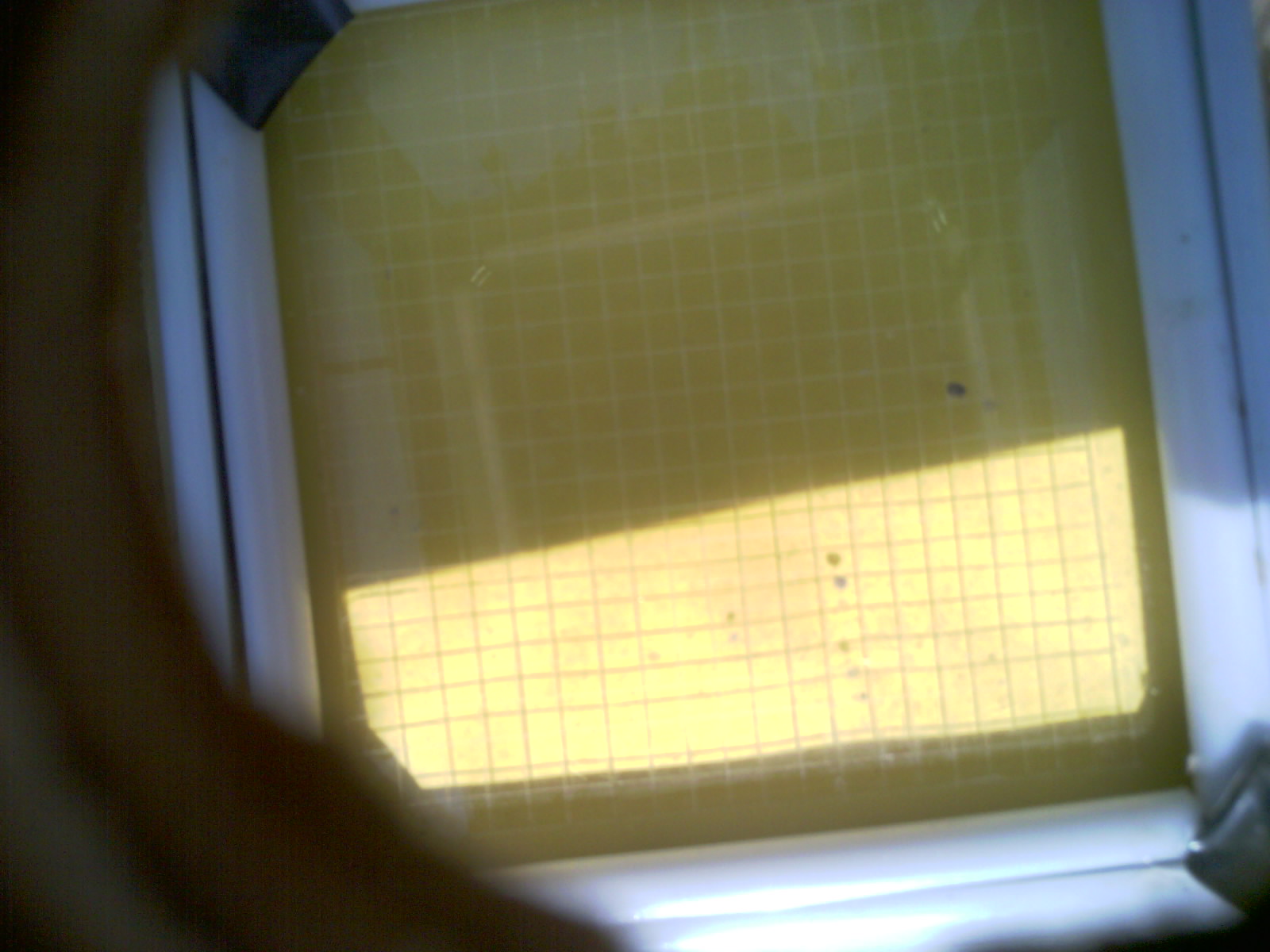 20260707_153627_UXGA_Q3.jpg